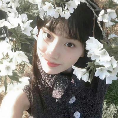我们恋爱的履历
